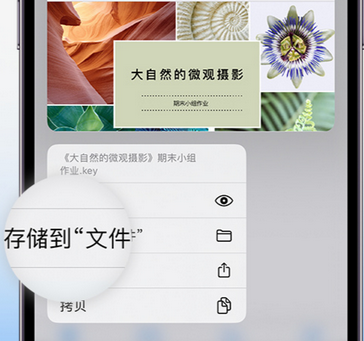 扶沟apple维修中心分享iPhone文件应用中存储和找到下载文件