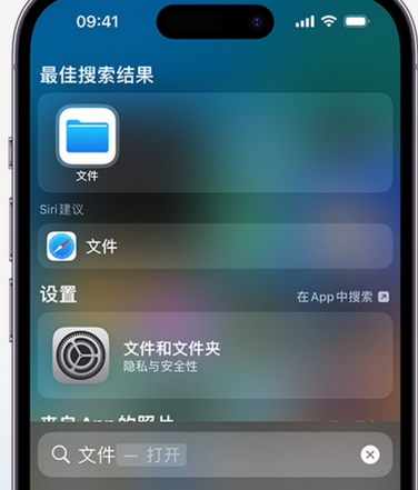 扶沟apple维修中心分享iPhone文件应用中存储和找到下载文件