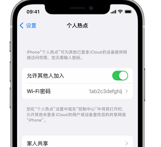 扶沟apple服务站点分享iPhone上个人热点丢失了怎么办 