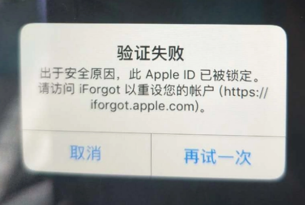 扶沟iPhone维修分享iPhone上正常登录或使用AppleID怎么办 