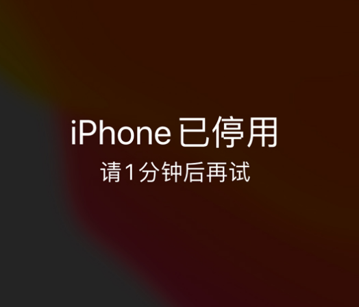 扶沟苹果手机维修分享:iPhone 显示“不可用”或“已停用”怎么办？还能保留数据吗？ 