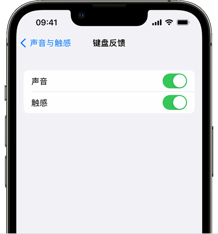 扶沟苹果14维修店分享如何在 iPhone 14 机型中使用触感键盘 