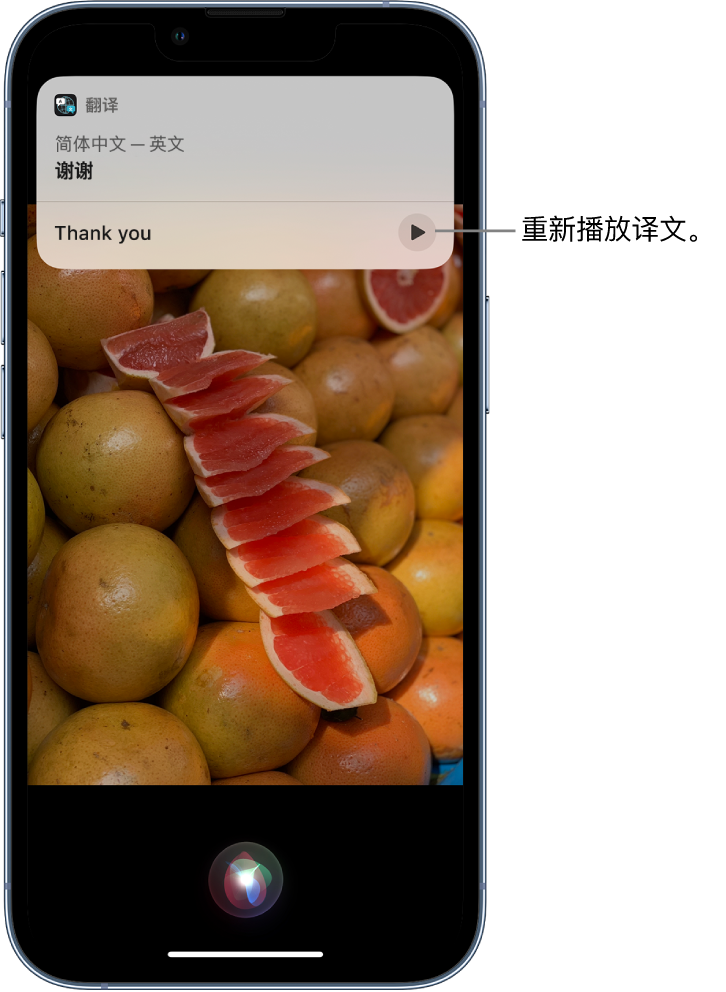 扶沟苹果14维修分享 iPhone 14 机型中使用 Siri：了解 Siri 能帮你做什么 