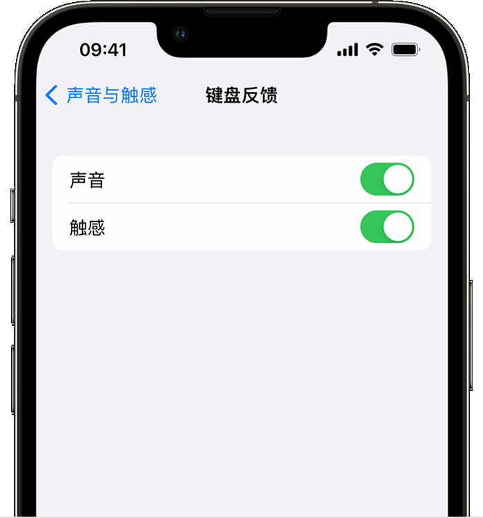 扶沟苹果14维修分享iPhone 14 系列机型如何开启键盘声音或触感反馈 