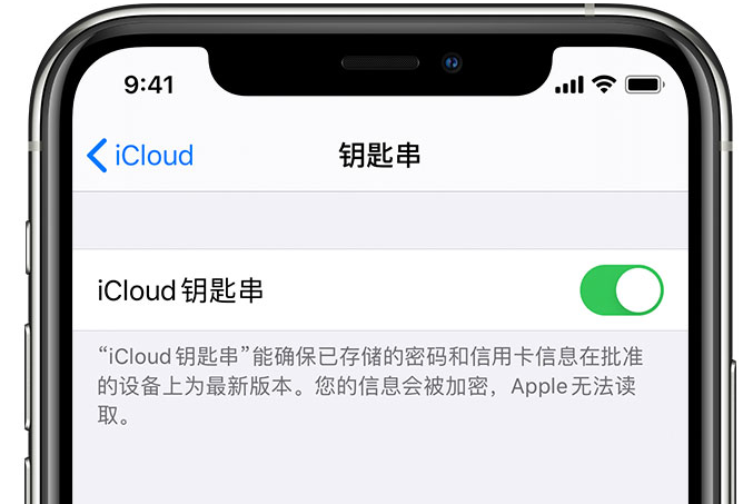 扶沟苹果手机维修分享在 iPhone 上开启 iCloud 钥匙串之后会储存哪些信息 