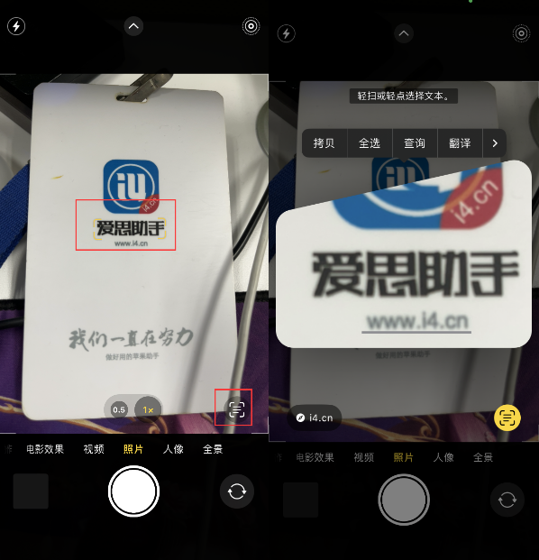 扶沟苹果手机维修分享升级iOS 16后如何通过相机翻译文本 