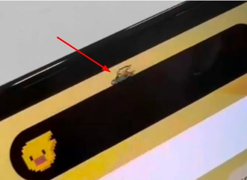 扶沟苹果14维修分享iPhone 14 Pro Max灵动岛怎么养宠物 