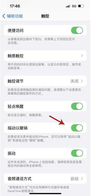 扶沟苹果手机维修分享iPhone手机如何设置摇一摇删除文字 