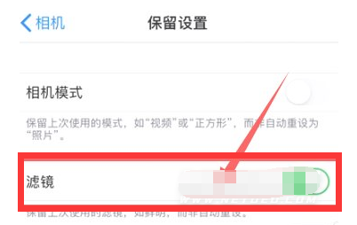 扶沟苹果13维修分享iPhone13拍照有绿点是怎么回事 