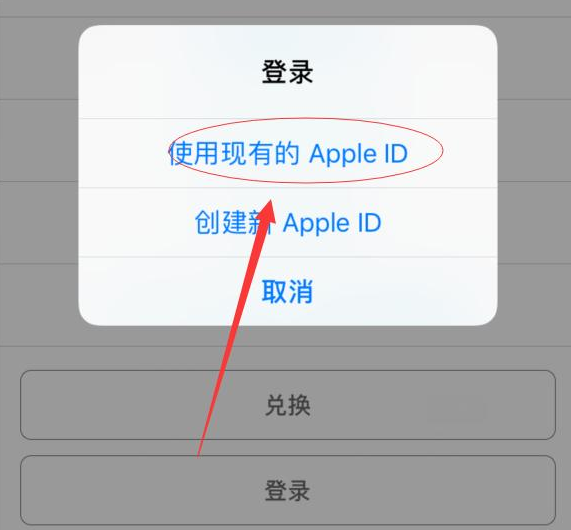 扶沟苹果手机维修分享两台iPhone设备可以同时登录一个Apple ID吗 
