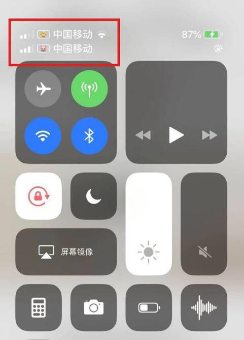 扶沟苹果手机维修分享为 iPhone 12 双卡设置标签 