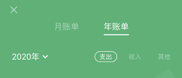 扶沟苹果手机维修分享如何在 iPhone 上查看支付宝和微信年支出账单 